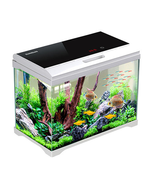 Un acuario es un tanque de vidrio o plástico que se utiliza para albergar peces y otros animales acuáticos.