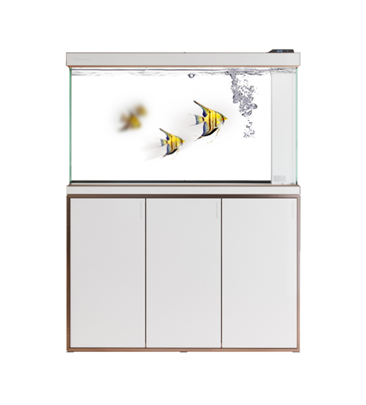 ¿Con qué frecuencia se deben limpiar las peceras de los acuarios?