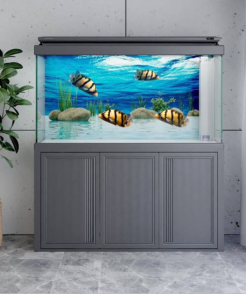 ¿Cómo elegir el tamaño adecuado de las peceras de acuario para principiantes?